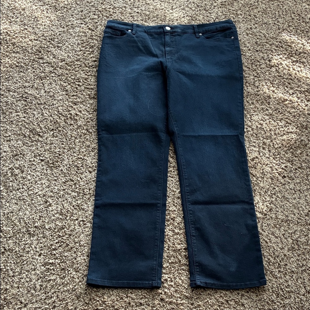 Bandolino Cotton Jeans Pants Amy Straight Leg Plus SZ 18 Blue New with Tags! - Picture 2 of 8